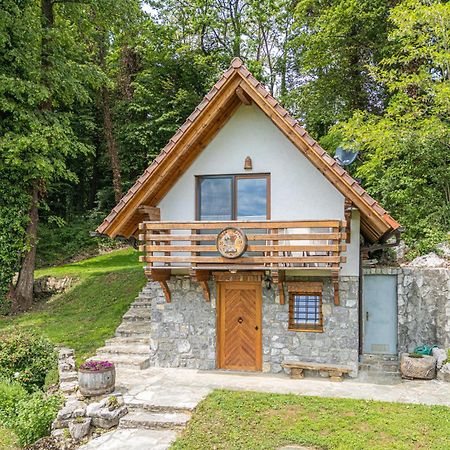 Vineyard Cottage Rataj 2 Novo Mesto Dış mekan fotoğraf